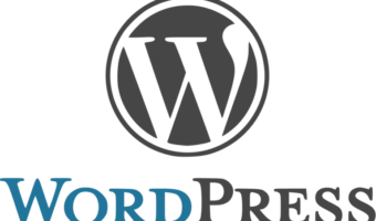 1200px-WordPress.svg_-1-768x477